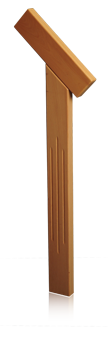 SP 03