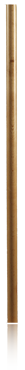 T1
