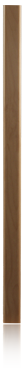 T16