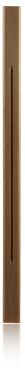 T16